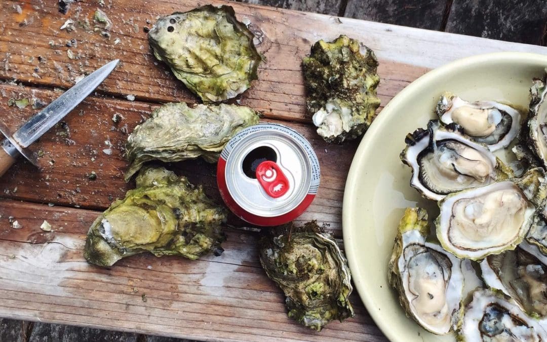 Tips for Hosting an Oyster Roast | Bluffton, Palmetto Bluff & HHI Realtors