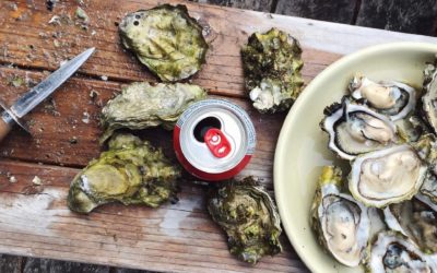 Tips for Hosting an Oyster Roast