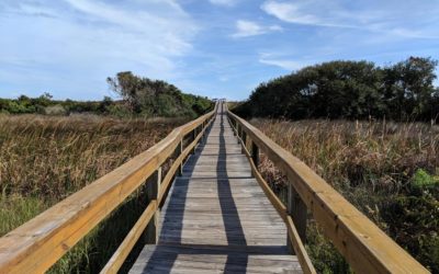 4 Day Trips Every Lowcountry Visitor (and Local!) Should Take