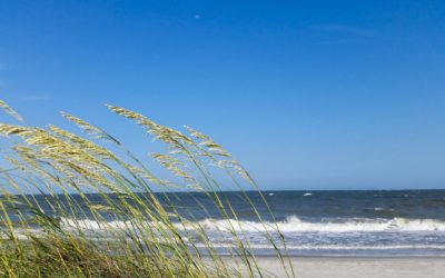Where to Find Public Parking for the Best Beaches on Hilton Head Island