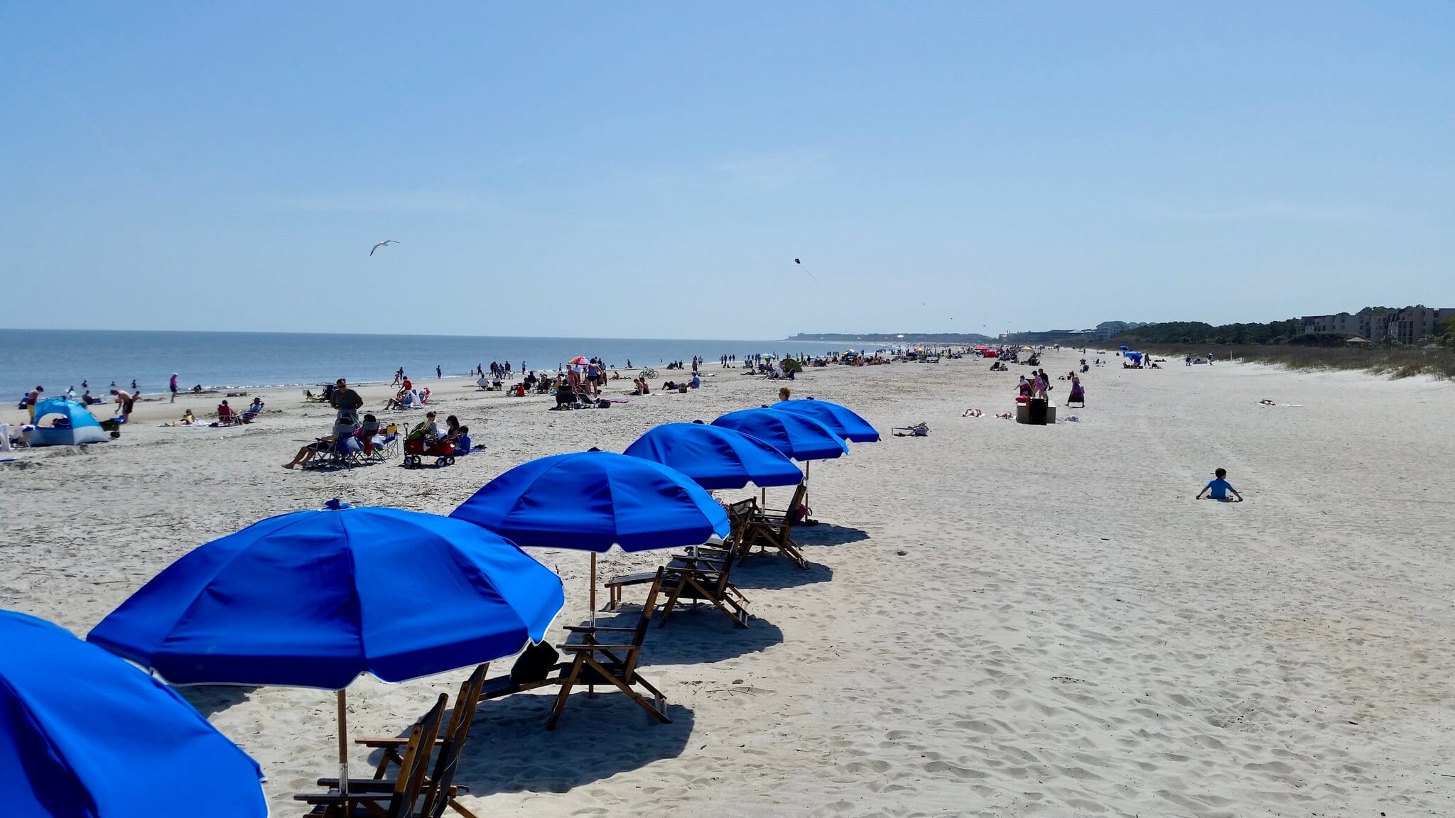 Beach with blue umbrellas and people
