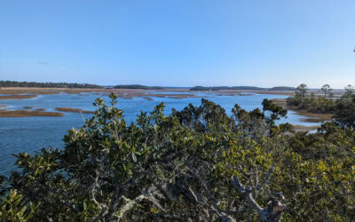 Take a Lowcountry Stroll: The Best Walking Paths in and Around Palmetto Bluff