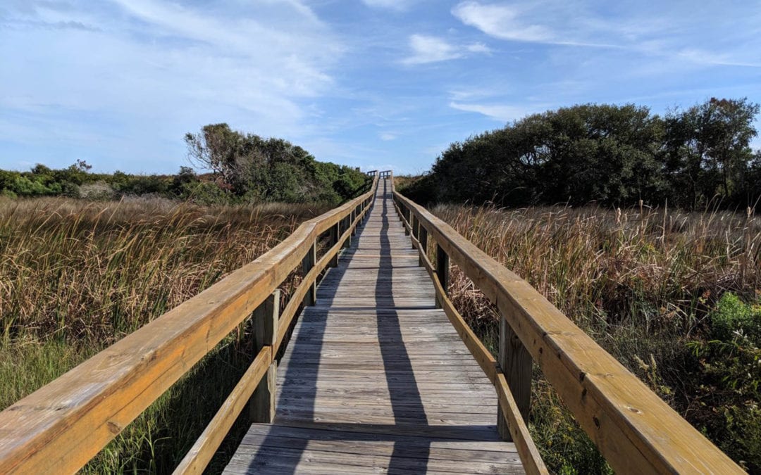 Long wooden bridge over wetland