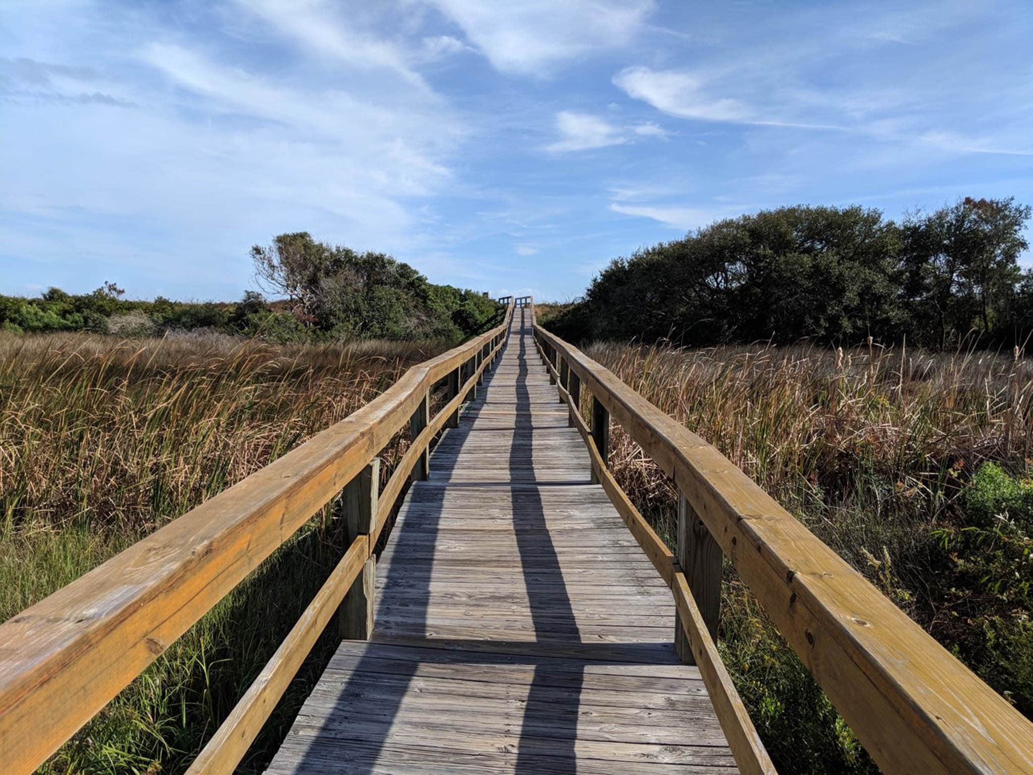 Take a Lowcountry Stroll: The Best Walking Paths in and Around Palmetto ...