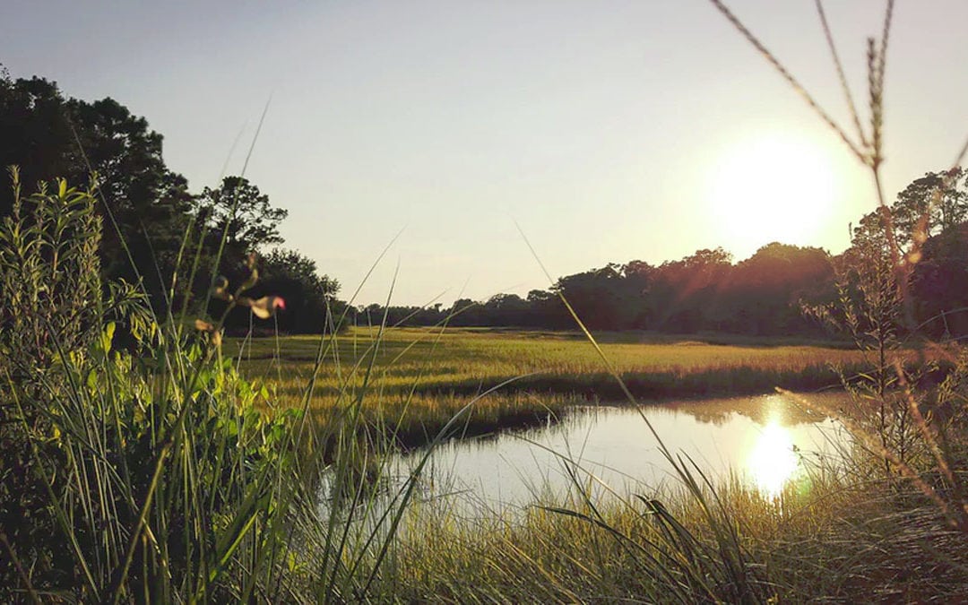 4 Ways to Welcome Fall in the Lowcountry