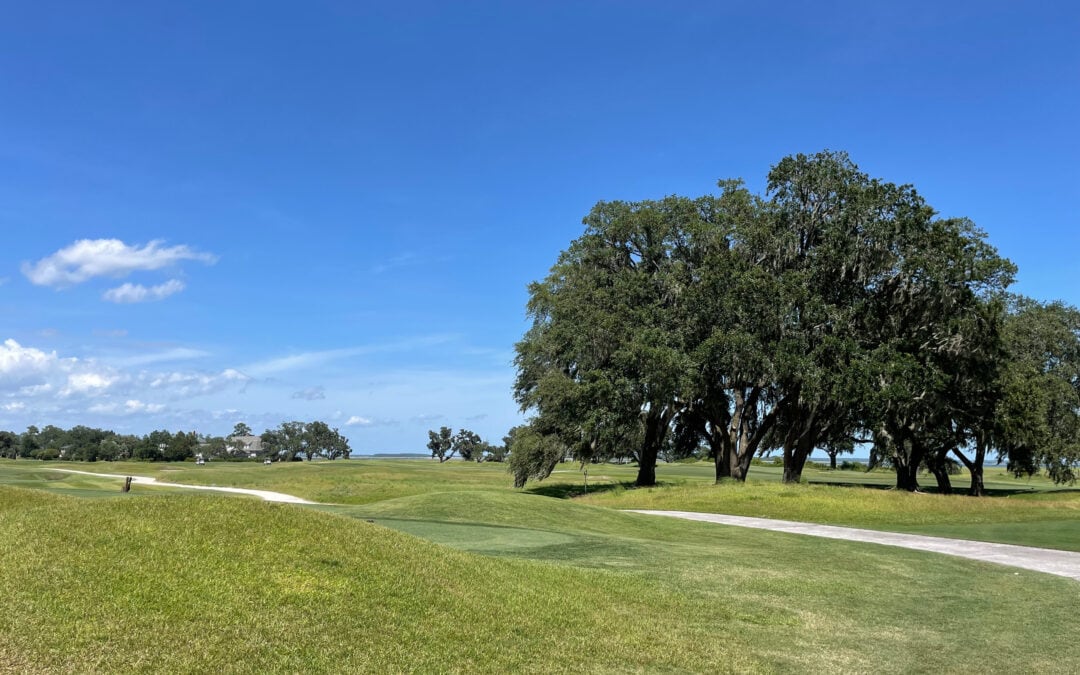 Explore the Lively Colleton River, One of the Best Private Golf Communities in Bluffton SC