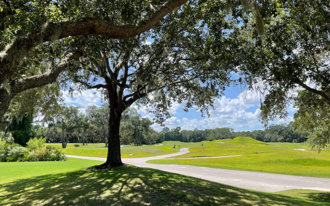 The Top Private Golf Communities in Bluffton