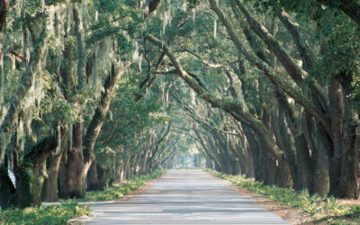 Belfair, SC: Balance and Luxury in the Lowcountry