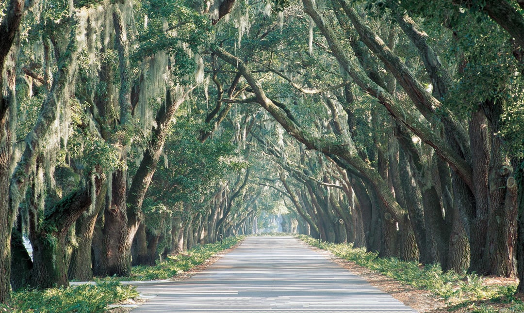 Belfair, SC: Balance and Luxury in the Lowcountry